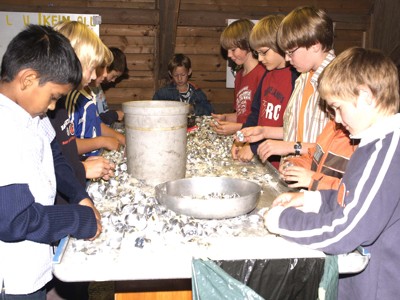 Sch&uuml;ler sortieren Aluminium