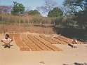 image08b