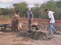image10b