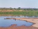 image13b